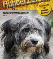 Hunde-Logisch Ausgabe 6 / 2011 – Leitthema: Hunde mit Vergangenheit Teil 2, Hundespiele für Wintertage