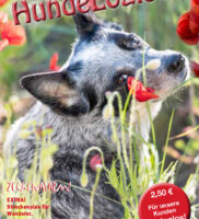 Hunde-Logisch Ausgabe 2 / 2016 – Leitthema: Zeckenalarm