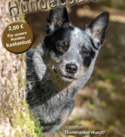 Hunde-Logisch Ausgabe 3 / 2016 – Leitthema: Dominanter Hund?