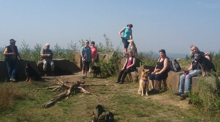 Wenn Hunde wandern! Pfötchen-Tour! 9 SteinhauerpfadBlog