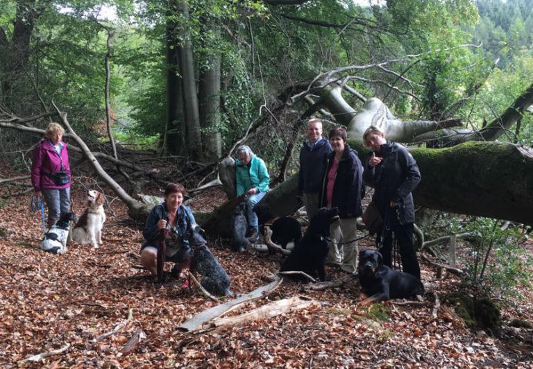 Pfötchentour, mit Hunden unterwegs 5 Im Totholzwald bei Gimborn