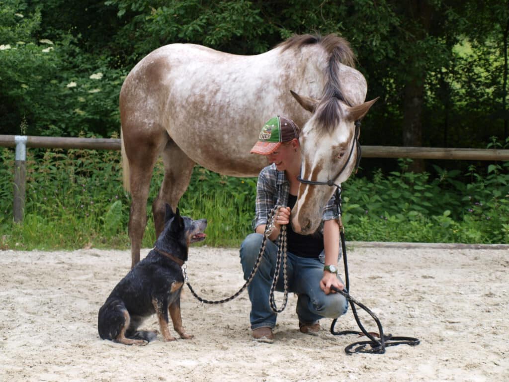 Pferd-Hund-Ausbildung