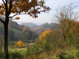 Herbst im Oberbergischen Land