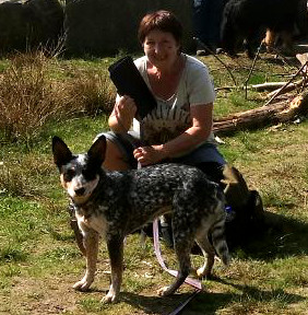 Apportierkurs Dummytraining 1 Barbara Neuber HundeLogisch Australian Cattle Dog
