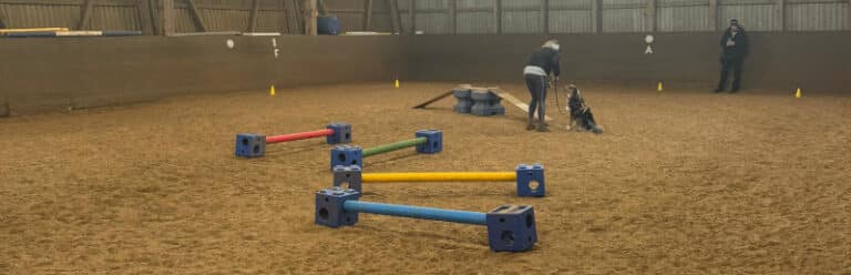 Mobility/Agility Kurs für Erwachsene und Kinder 3 AgilityReithalle
