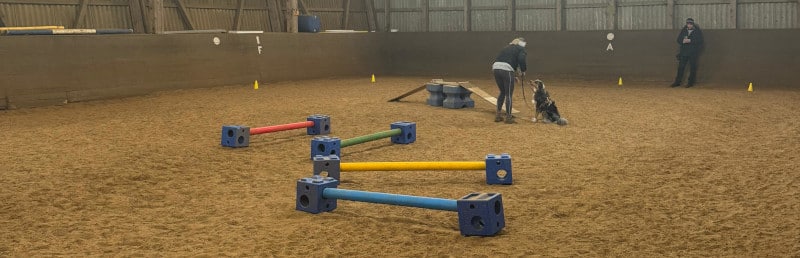 Mobility/Agility Kurs für Erwachsene und Kinder 10 AgilityReithalle