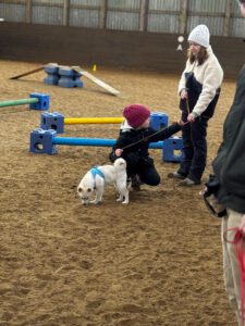 Mobility/Agility Kurs für Erwachsene und Kinder 2 Pomsky Poppy macht mit Leni beim Mobility mit