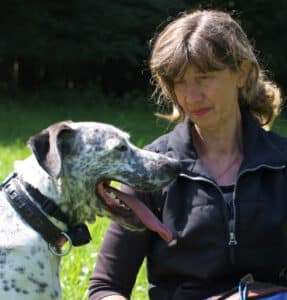 Problemhunde - hier wird Ihnen geholfen! 2 Vibrationshalsband Dalmatiner