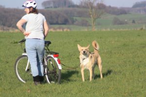 Fahrradfahren mit Hund 2 Fahrradfahren mit Hund