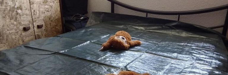 Pomsky Poppy macht Pipi 7 Hund pinkelt ins Bett