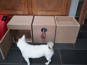 Projekt ABRA Hundbegleitete Therapie 2 ABRA Hundgestützte Therapie HundeLogisch