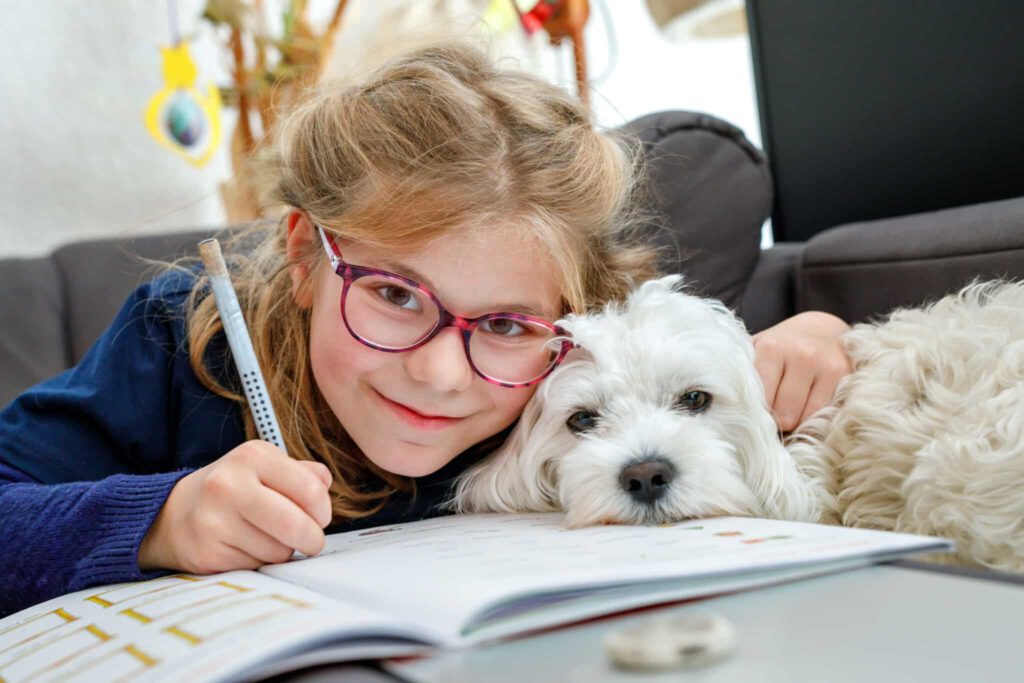 Assistenzhunde Servicehunde Therapiehunde Schulhunde 3 Lesehund Schulhund Kind und Hund