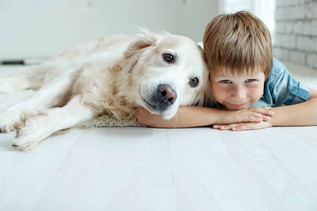 Assistenzhunde Servicehunde Therapiehunde Schulhunde 2 Kind und Hund, Lesehund, Schulhund