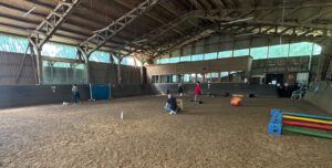 HundeLogisch Mobility - Kein richtiger Tunnel? 1 Agility in der Reithalle Auf der Gummershardt